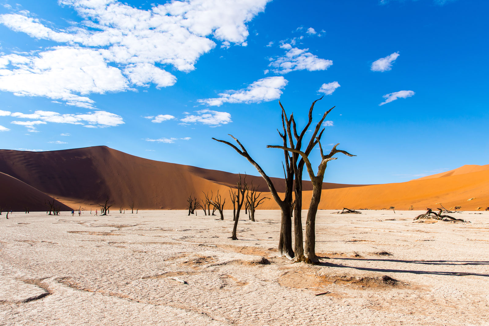 Namibië, het wonder van de woestijn
